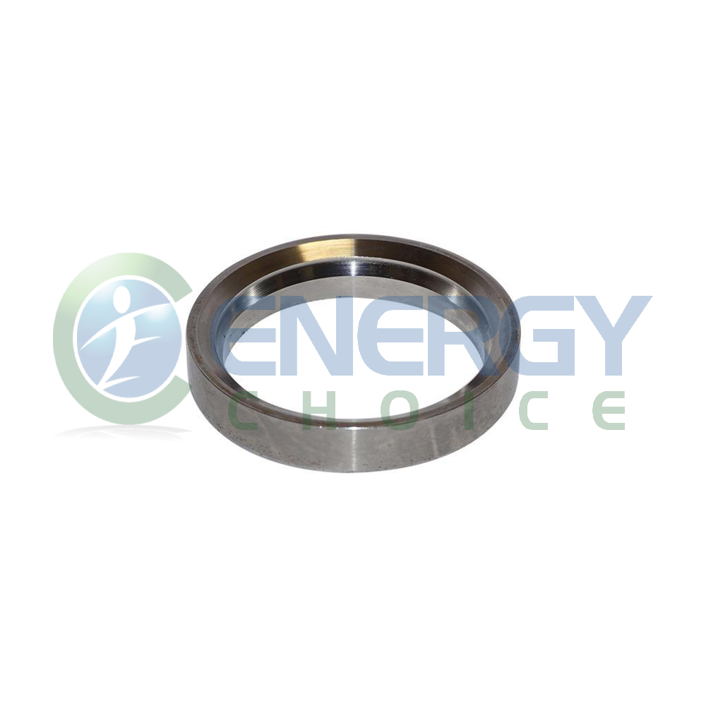 Valve Seat Ring, Jenbacher, 338039
